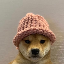 WIF dogwifhat обзор аналитика, прогноз цены